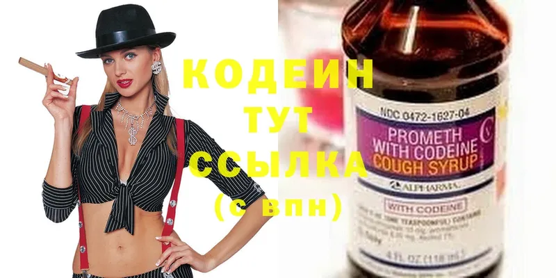 Кодеиновый сироп Lean Purple Drank  купить  цена  мега ссылки  Кингисепп 